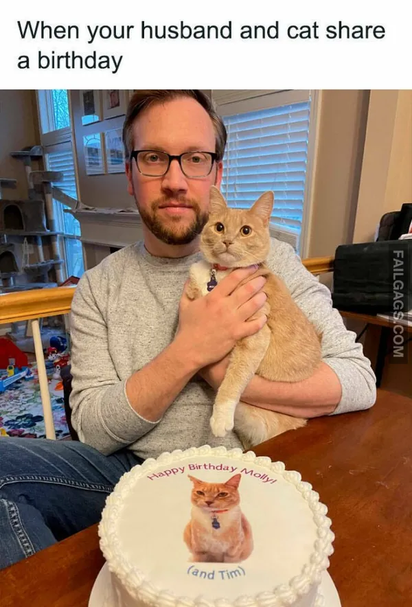 13 Funny Cat Memes to Make You Laugh (10)