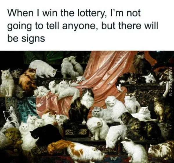 13 Funny Cat Memes to Make You Laugh (4)