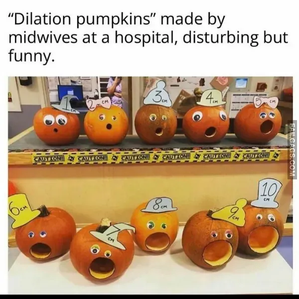 13 Funny Memes For Ladies Only (2)