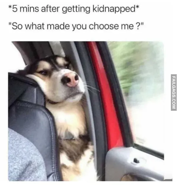 13 Funny Memes For Ladies Only (3)