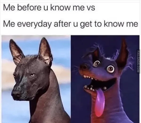 13 Funny Memes For Ladies Only (4)