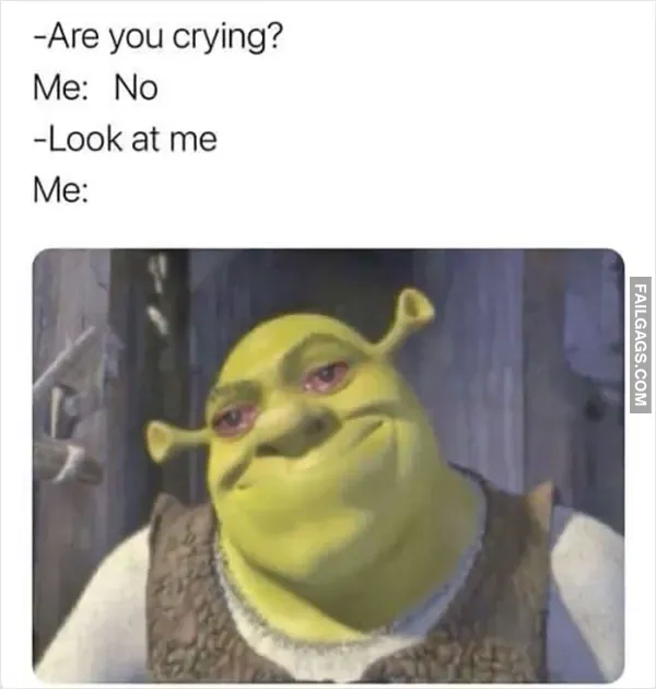 13 Funny Memes For Ladies Only (7)