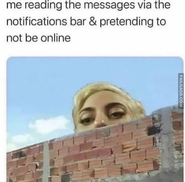 13 Introvert Memes That Require Zero Human Interaction (12)