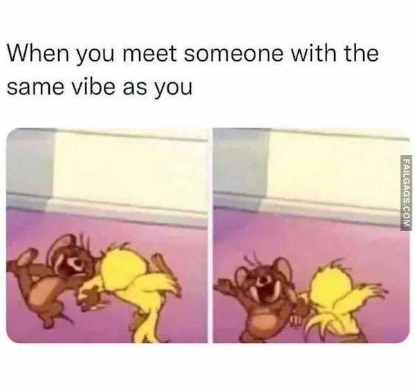 13 Introvert Memes That Require Zero Human Interaction (9)