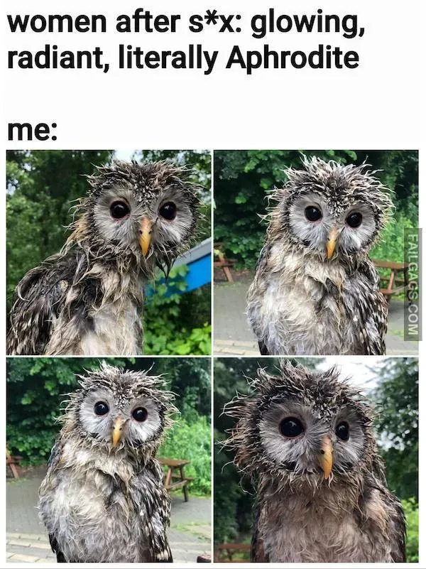 14 Dirty Memes That Will Make You Want to Shower (5)