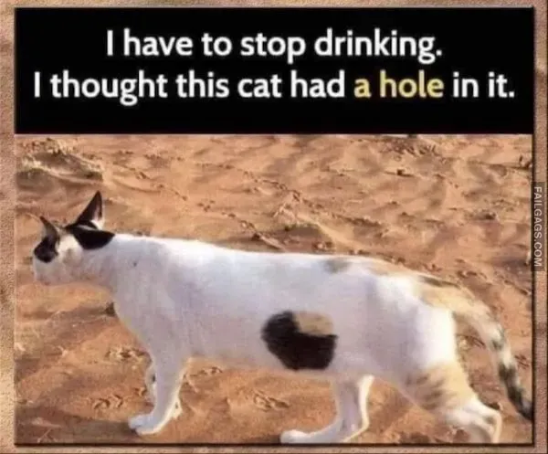 14 Funny Memes to Make Your Day Better (12)