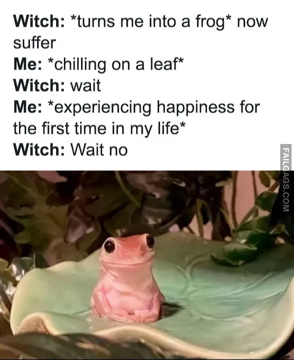 14 Funny Memes to Make Your Day Better (2)