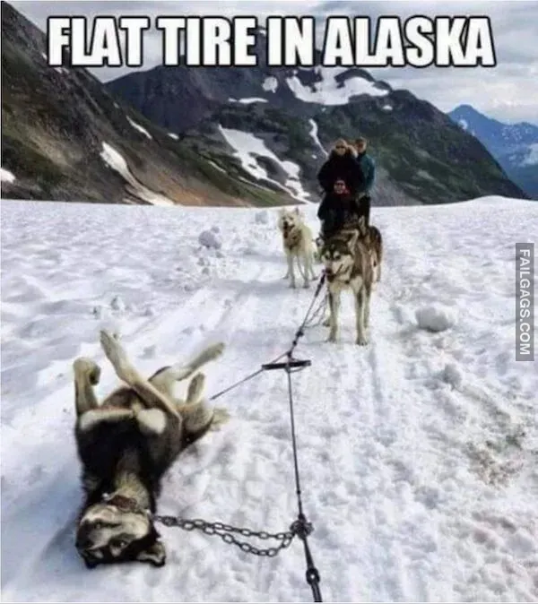 14 Funny Memes to Make Your Day Better (7)