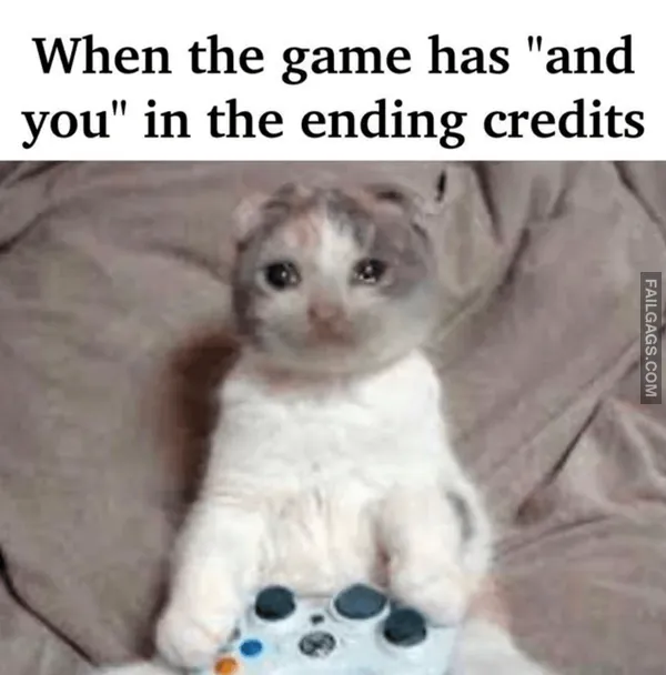 14 Gaming Memes That Will Make Any Gamer LOL (14)