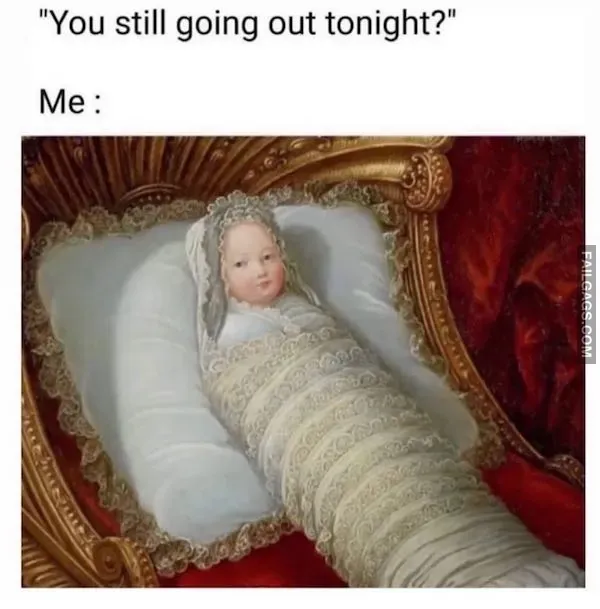 14 Introvert Memes That Require Zero Human Interaction (13)