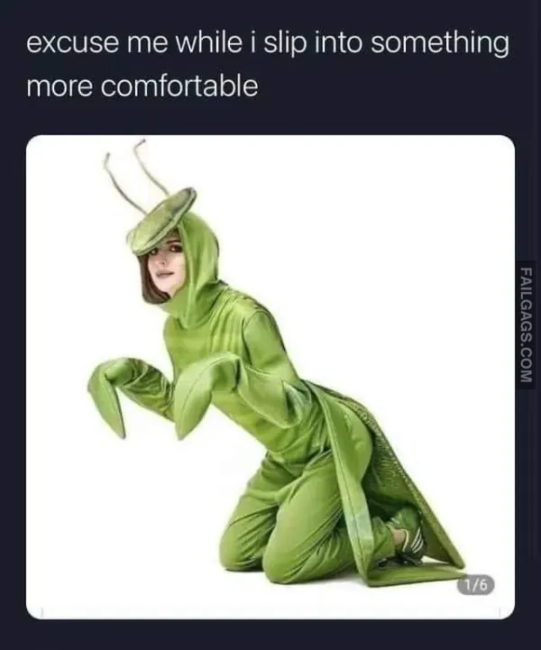 15 Funny Memes That Will Make You Laugh (15)