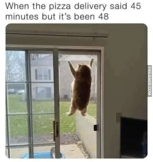 15 Funny Memes That Will Make You Laugh (4)