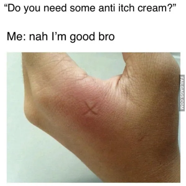 15 Funny Memes That Will Make You Laugh (5)