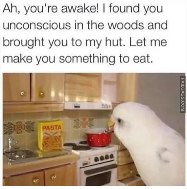 15 Funny Memes That Will Make You Laugh (6)