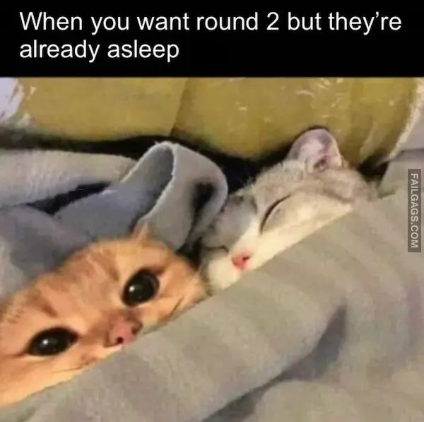 15 NSFW Memes for the Dirty Minded (14)