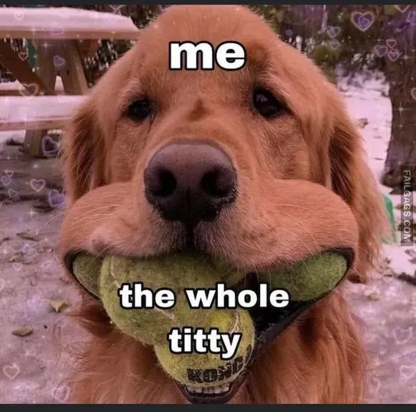 15 NSFW Memes for the Dirty Minded (5)