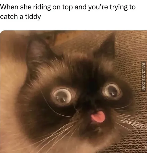 15 Naughty Memes to Send Your Crush (7)