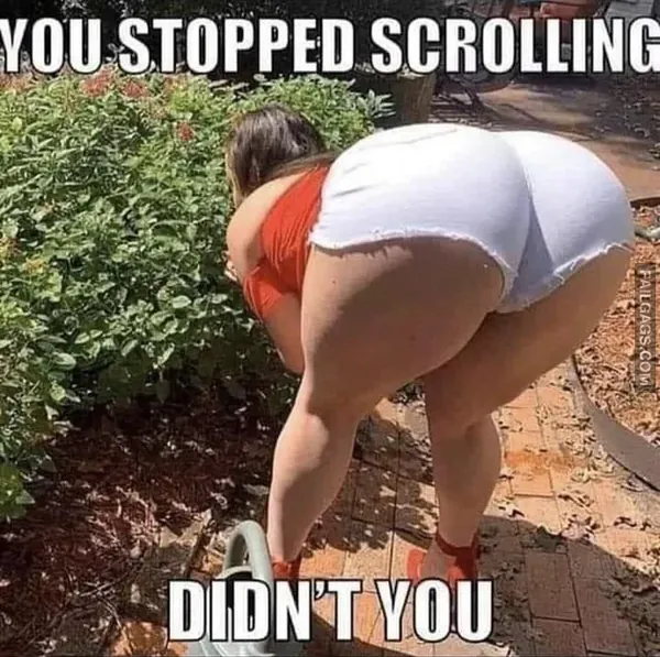 11 Adult Memes to Spice Up Your Life (8)