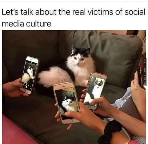 11 Funny Memes to Get You Through the Day (11)