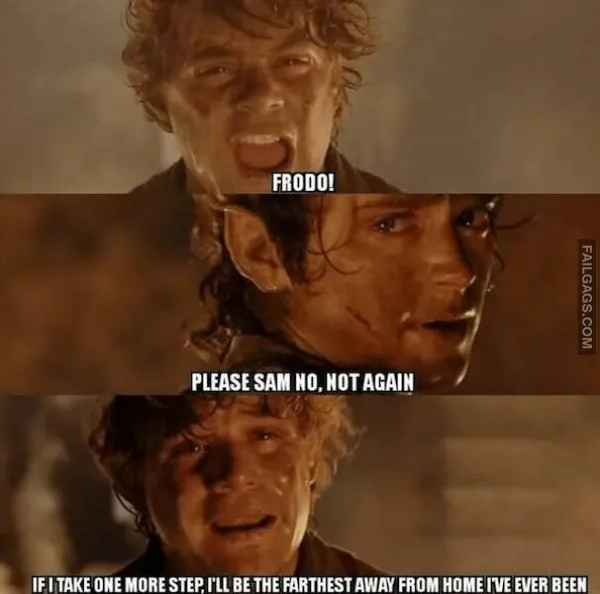 11 Lord Of The Rings Memes Guaranteed To Make You Laugh (11)