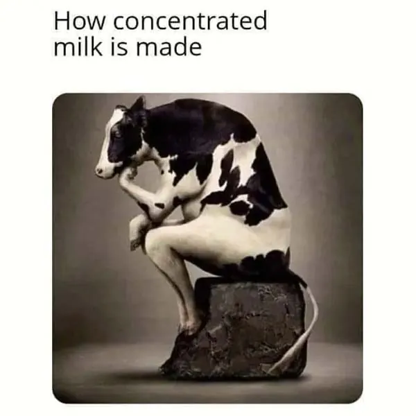 12 Hilarious Memes You Will Laugh at Every Time (1)