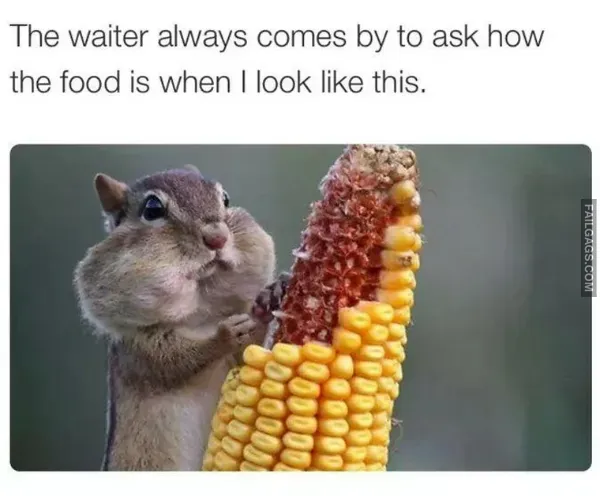 12 Hilarious Memes You Will Laugh at Every Time (2)