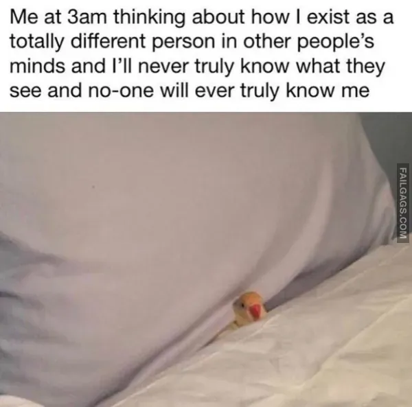 12 Hilarious Memes You Will Laugh at Every Time (5)