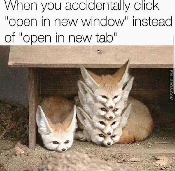 13 Animal Memes to Brighten Your Day (2)