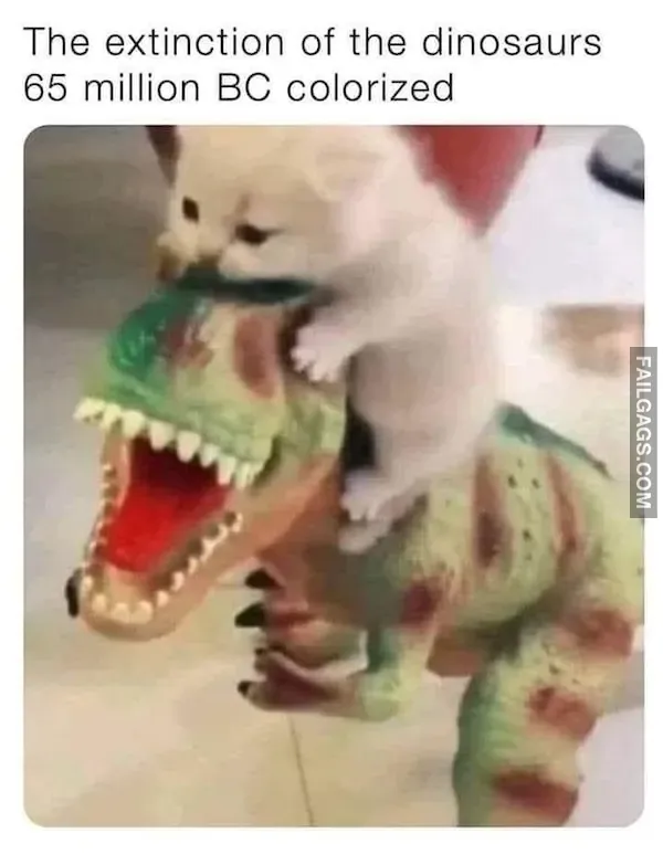 13 Animal Memes to Brighten Your Day (5)