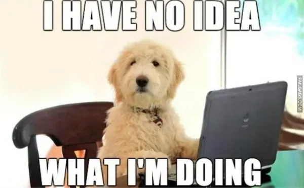 13 Animal Memes to Brighten Your Day (8)