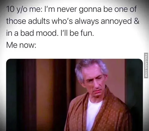 13 Funny Memes That Are Too Good to Miss (10)