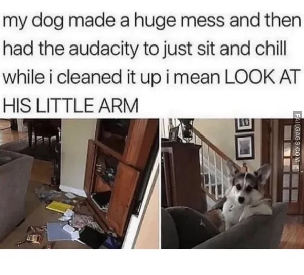 13 Funny Memes That Are Too Good to Miss (5)