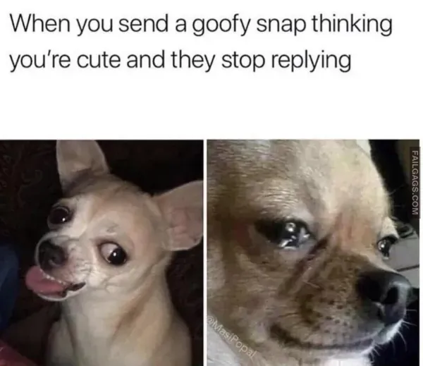 13 Funny Memes That Are Too Good to Miss (6)