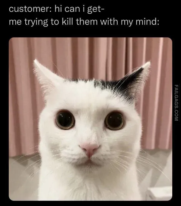 13 Funny Memes That Are Too Good to Miss (9)