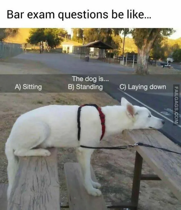 10 Lawyerly Memes That Are Guilty of Hilarity (4)