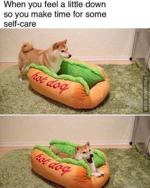 11 Funny Self Care Memes for All Those Needing Pampering (4)