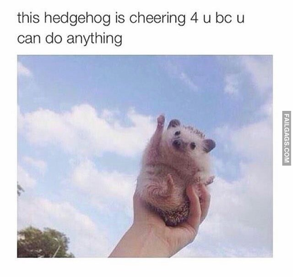 11 Funny Self Care Memes for All Those Needing Pampering (6)