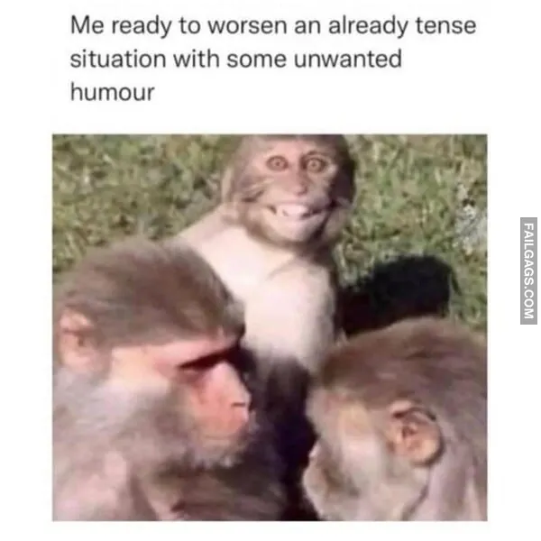 11 Hilariously Relatable Memes That Had Us Rolling (7)