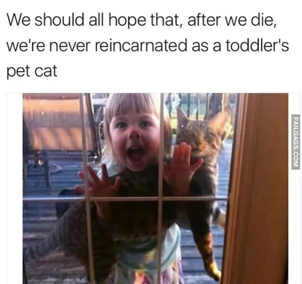 11 Parenting Memes to Read While Your Child is Asleep (7)