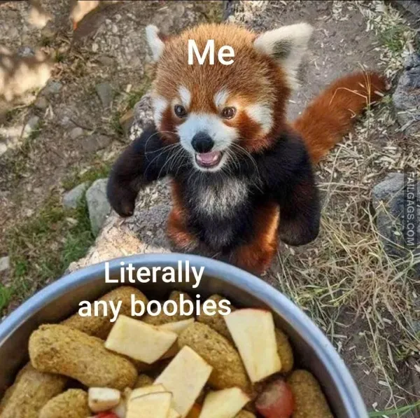 11 Saucy Memes to Share With Friends (5)