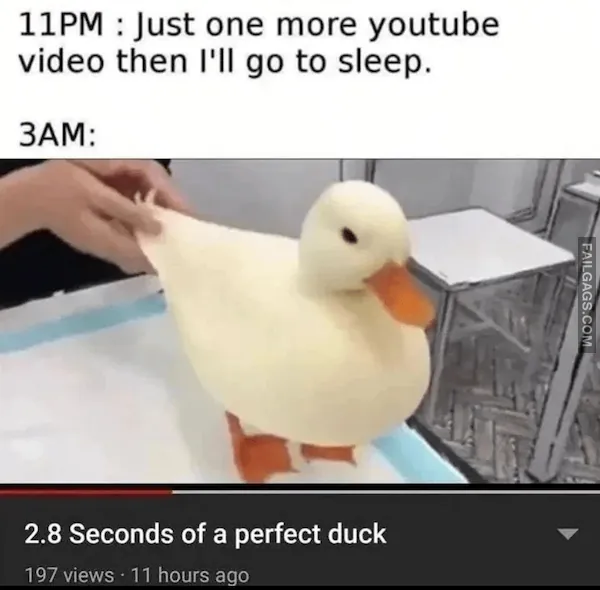 12 Animal Memes That Made Us Roar With Laughter (2)