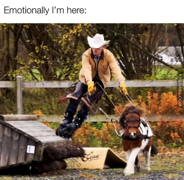 12 Animal Memes That Made Us Roar With Laughter (7)