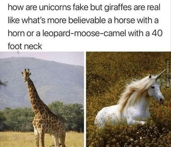 12 Animal Memes That Made Us Roar With Laughter (8)