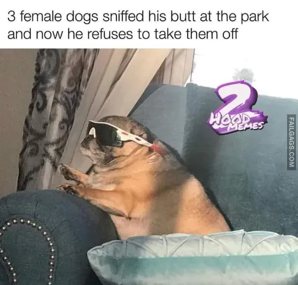 12 Funny Memes to Tickle Your Funny Bone Today (8)