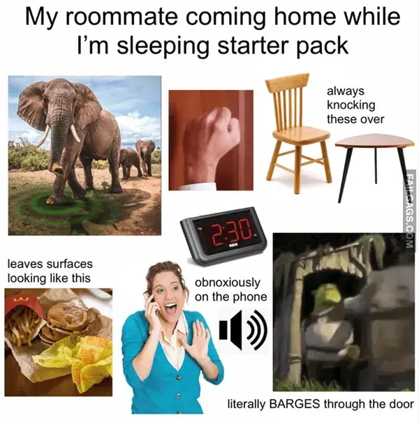 12 Funny Roommate Memes That Are 100% Relatable (4)