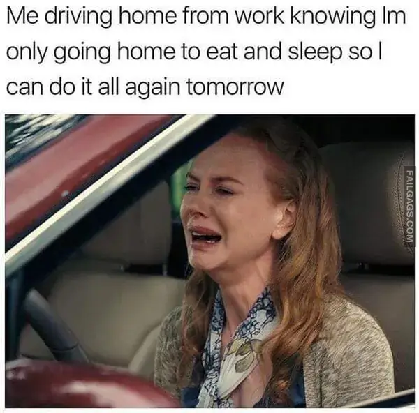 12 Funny and Relatable Work Memes to Make You Laugh (7)