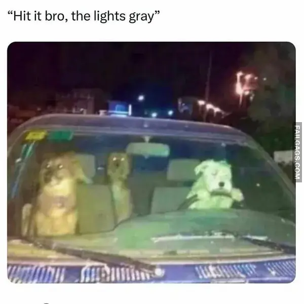 12 Hilarious Random Memes to Chase Away the Workweek Blues (11)