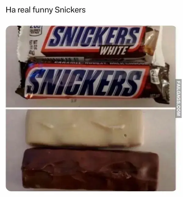 12 Hilarious Random Memes to Chase Away the Workweek Blues (12)