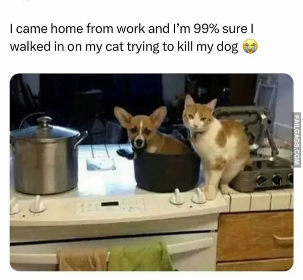 12 Hilarious Random Memes to Chase Away the Workweek Blues (2)