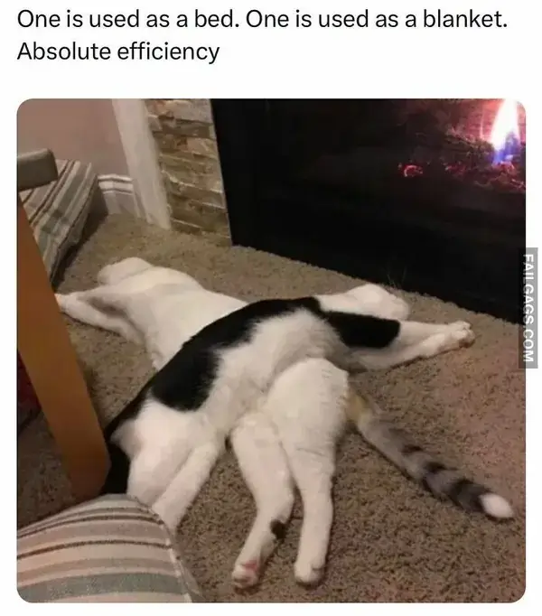 12 Hilarious Random Memes to Chase Away the Workweek Blues (4)